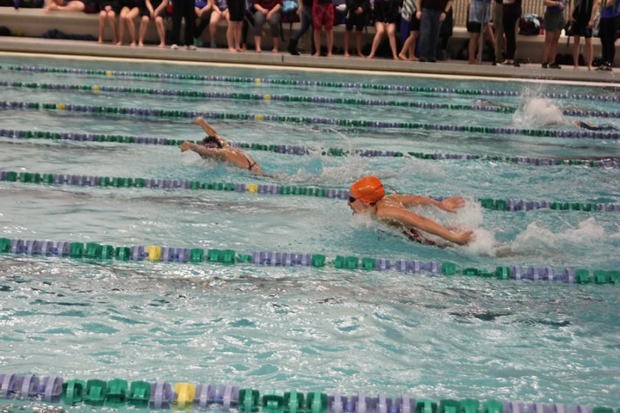 Sophomore Whitley Eicher competes in the 100 yard butterfly during sectionals on Feb 4.