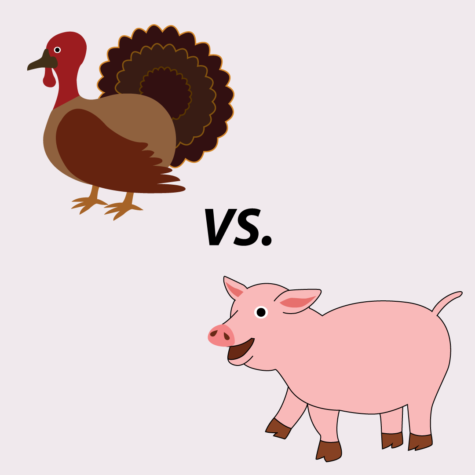 Ham vs. Turkey