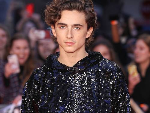 Timothée Hits the Runway