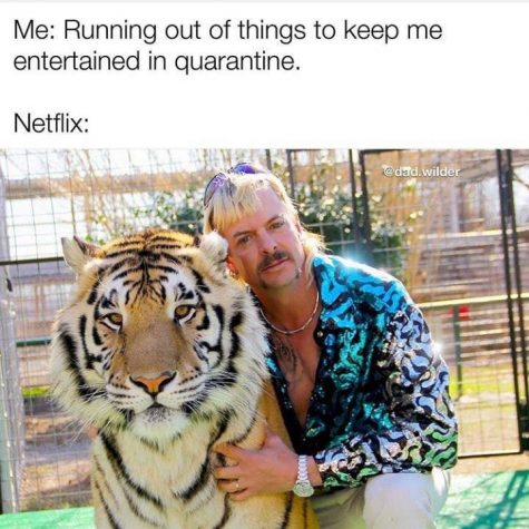 What Tiger King Meme Are You?