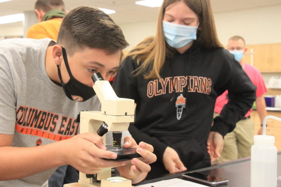 Two students partner up to complete the lab.