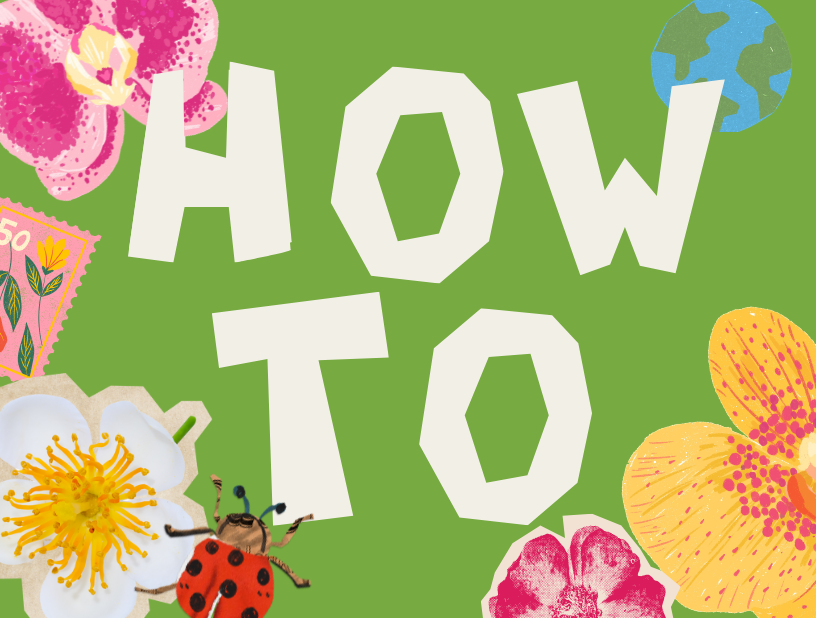 How-To Study and Keep Up With School Work